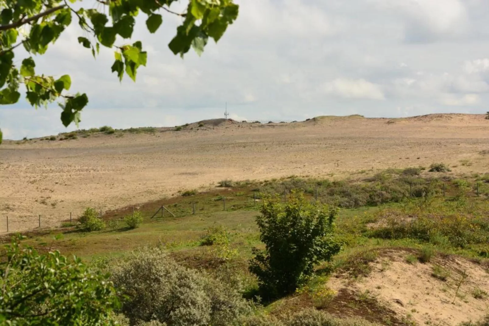 Villa Bos en Zee-Gebieden zomer 20km