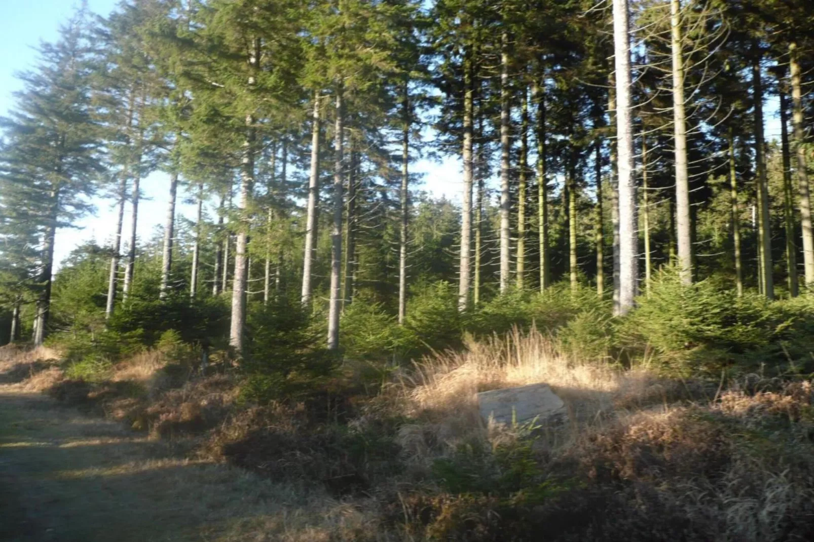 Le Refuge du Poète-Gebieden zomer 20km