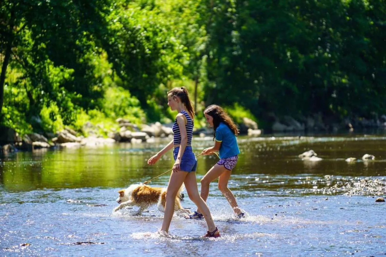 La Colline-Gebieden zomer 20km