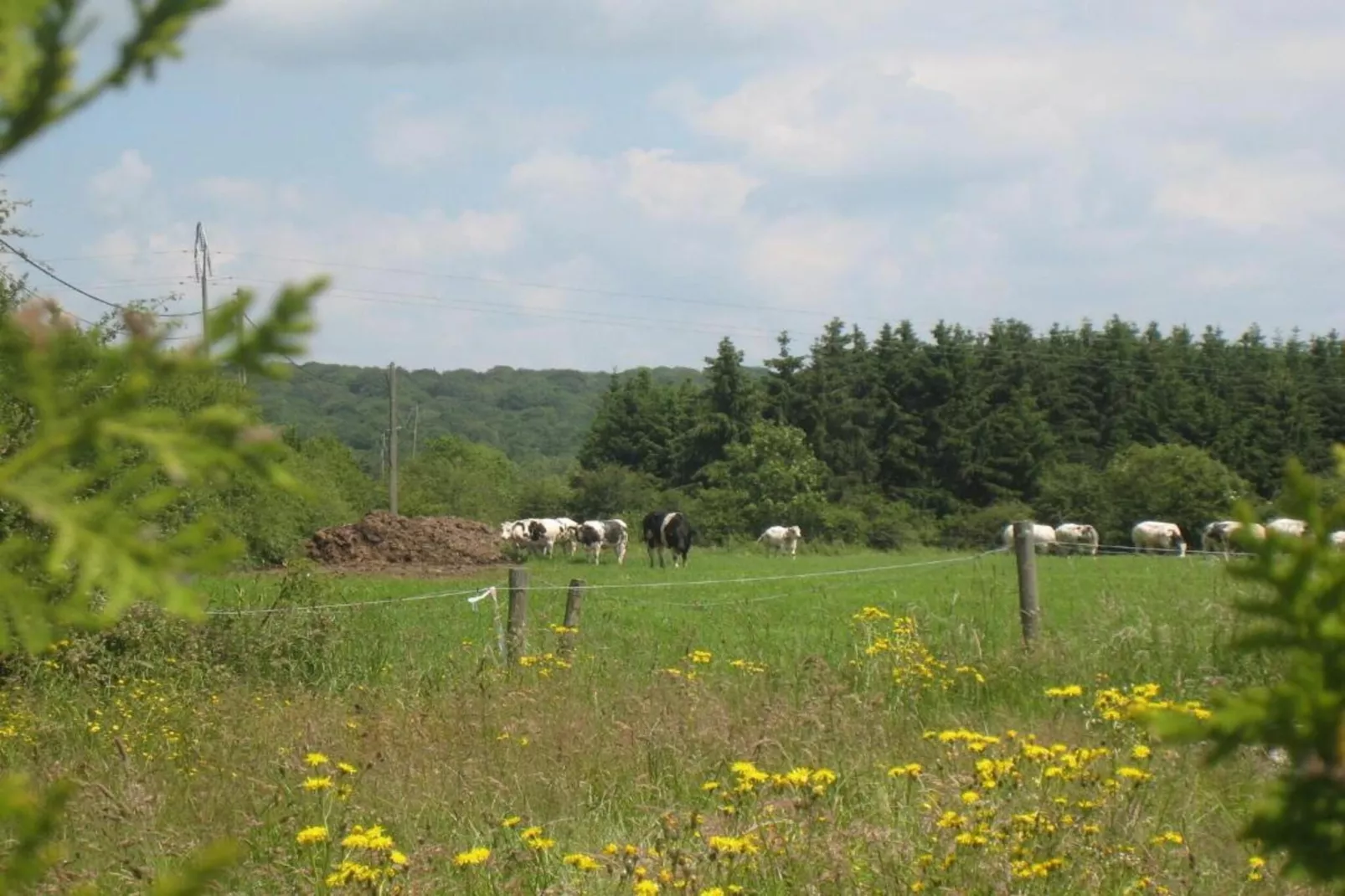 Les Sittelles-Gebieden zomer 20km