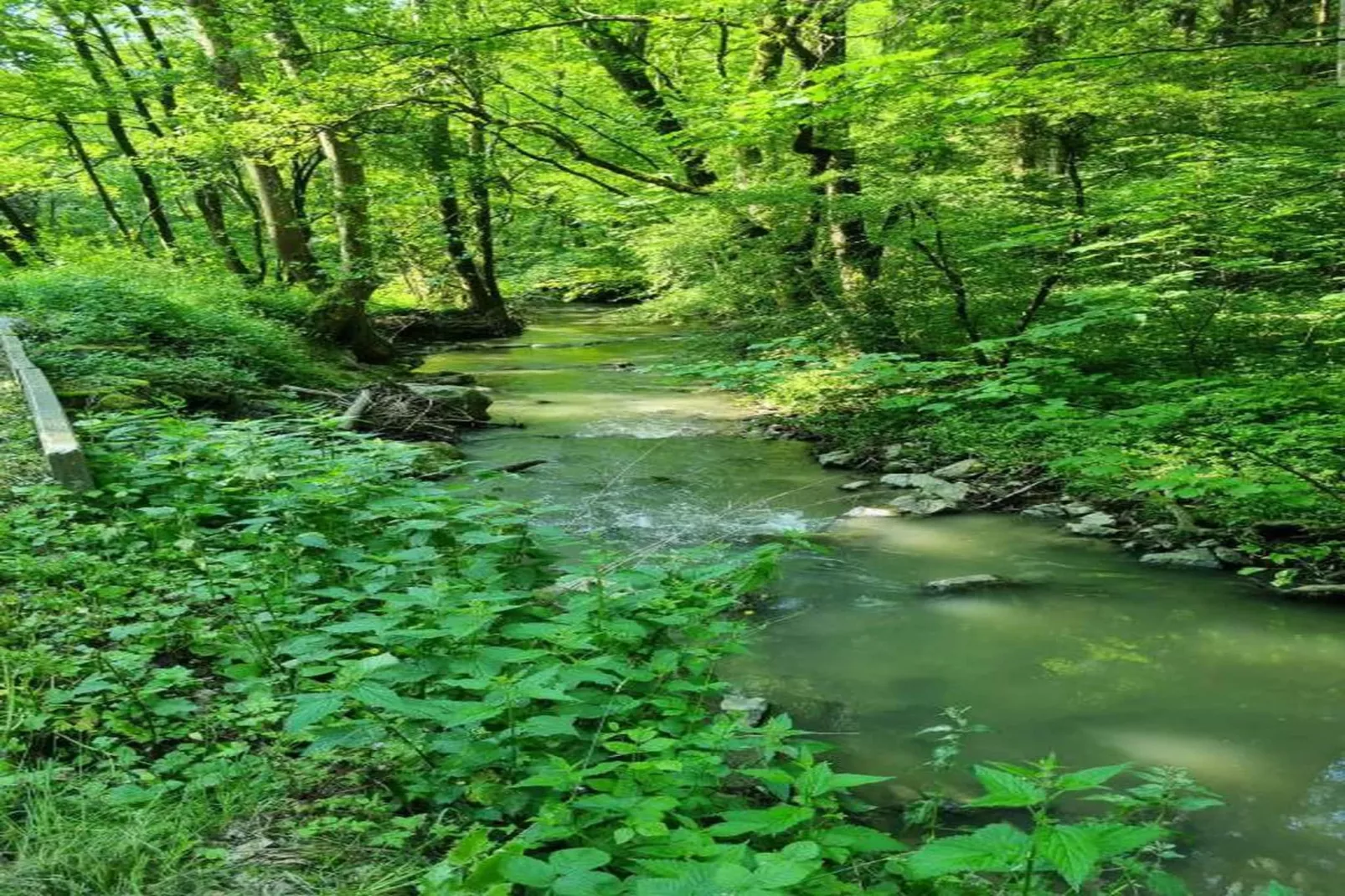 Chateau Angelus-Gebieden zomer 20km