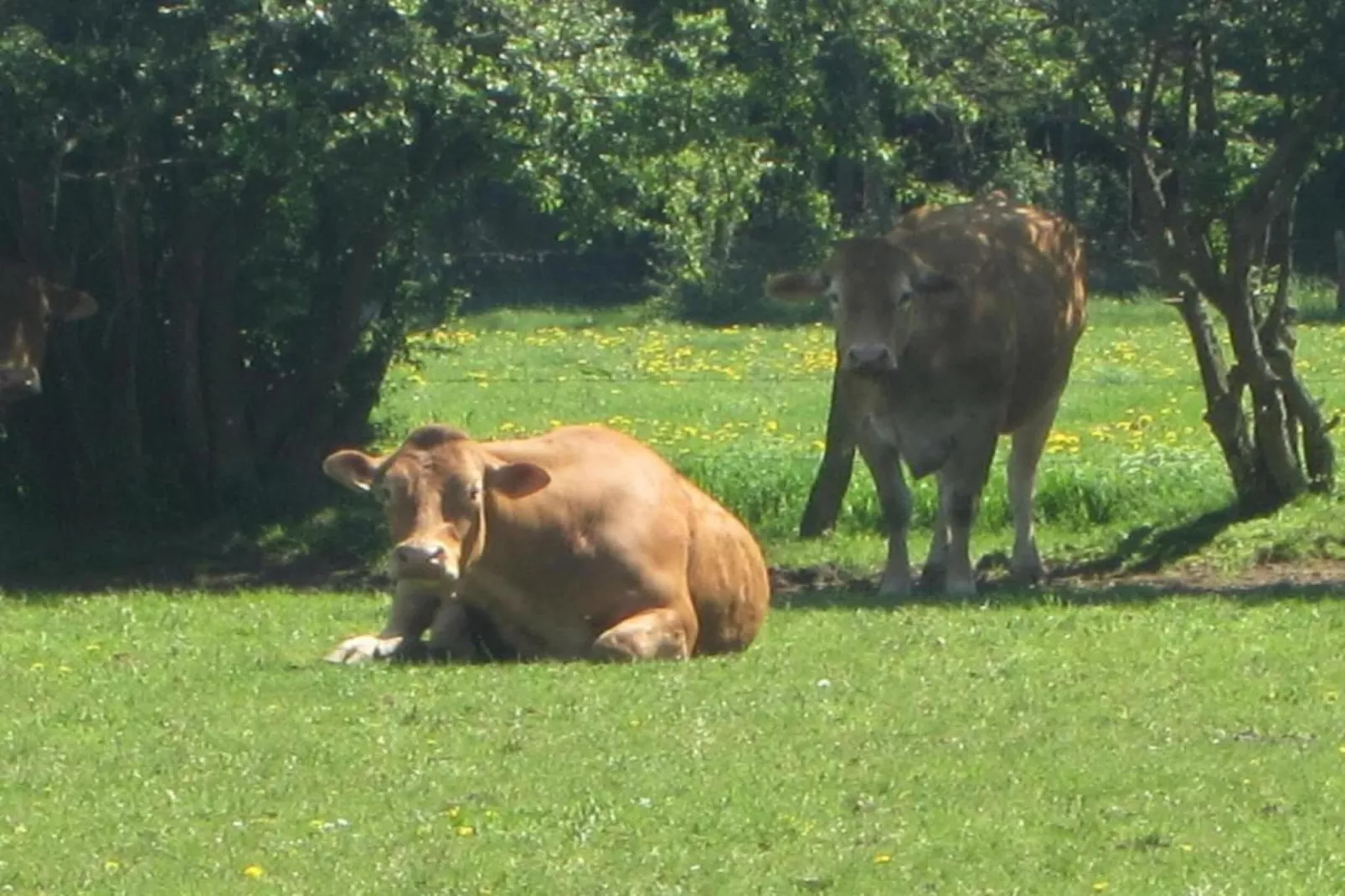 Camping Petite Suisse 5-Gebieden zomer 5km