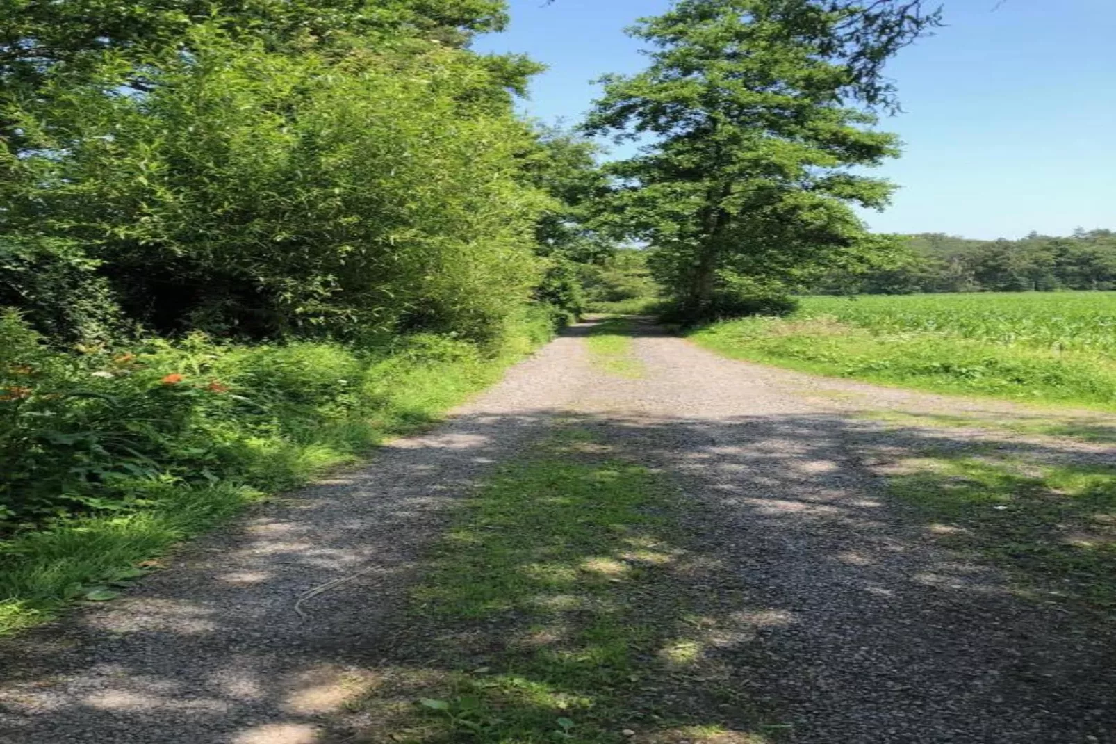 Casteeldoorn-Gebieden zomer 20km