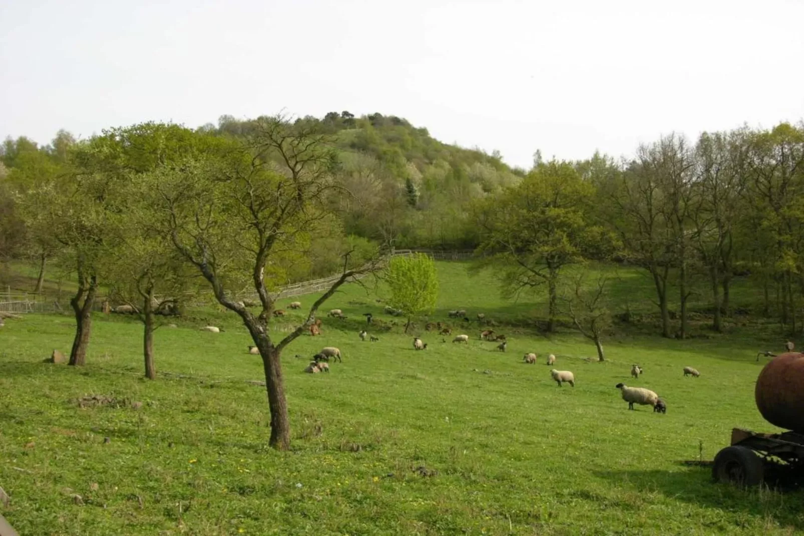 Rita-Gebieden zomer 5km