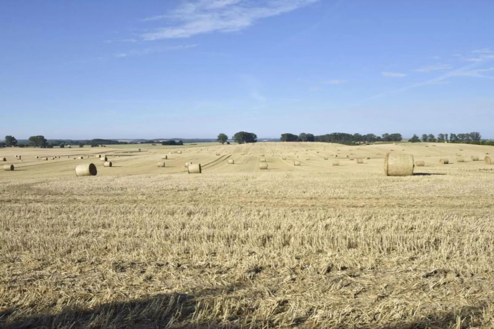 Koppelblick & Heidenholz XXL-Gebieden zomer 20km
