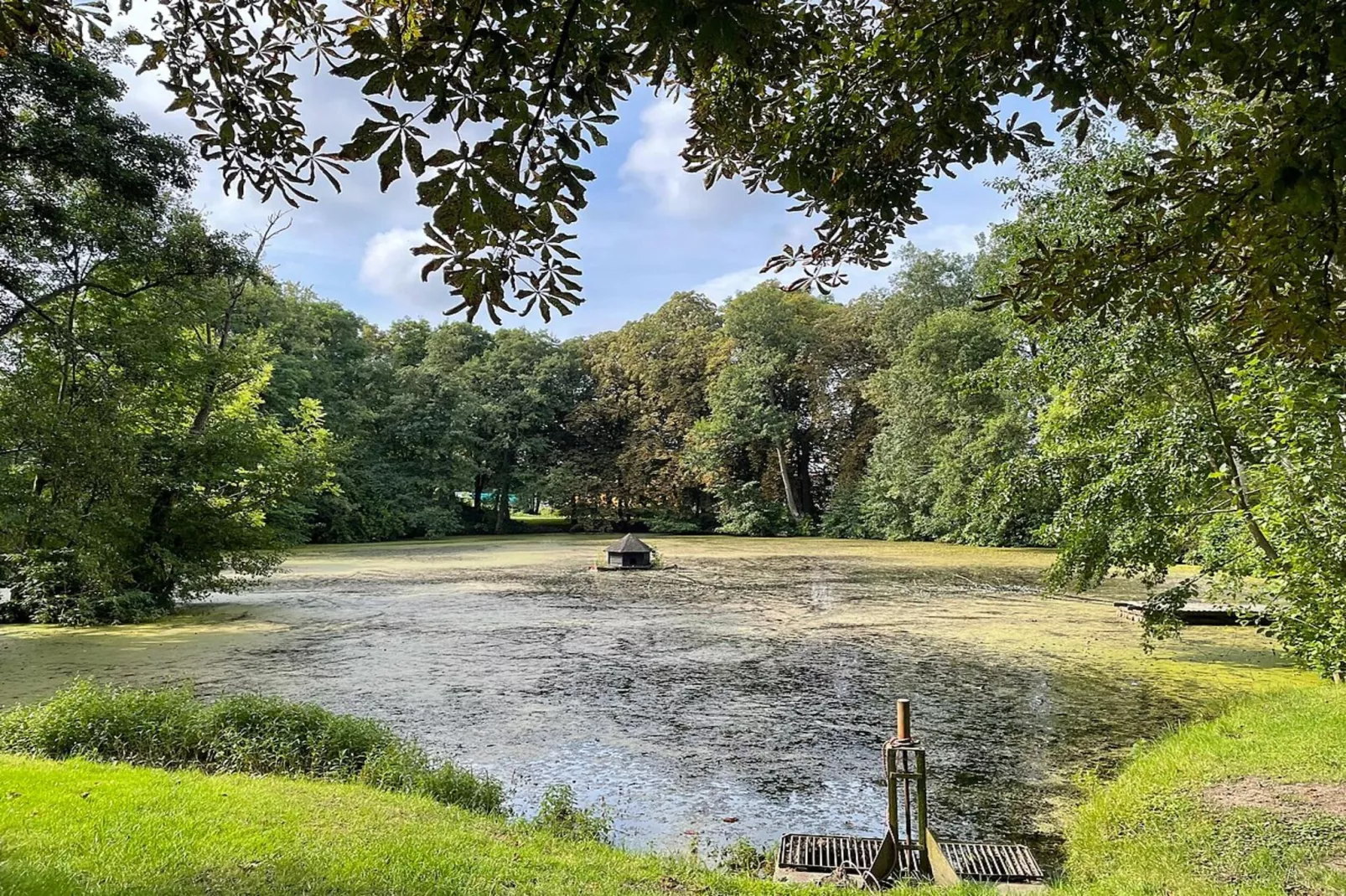 Ferienwohnung mit Feldblick-Gebieden zomer 1km