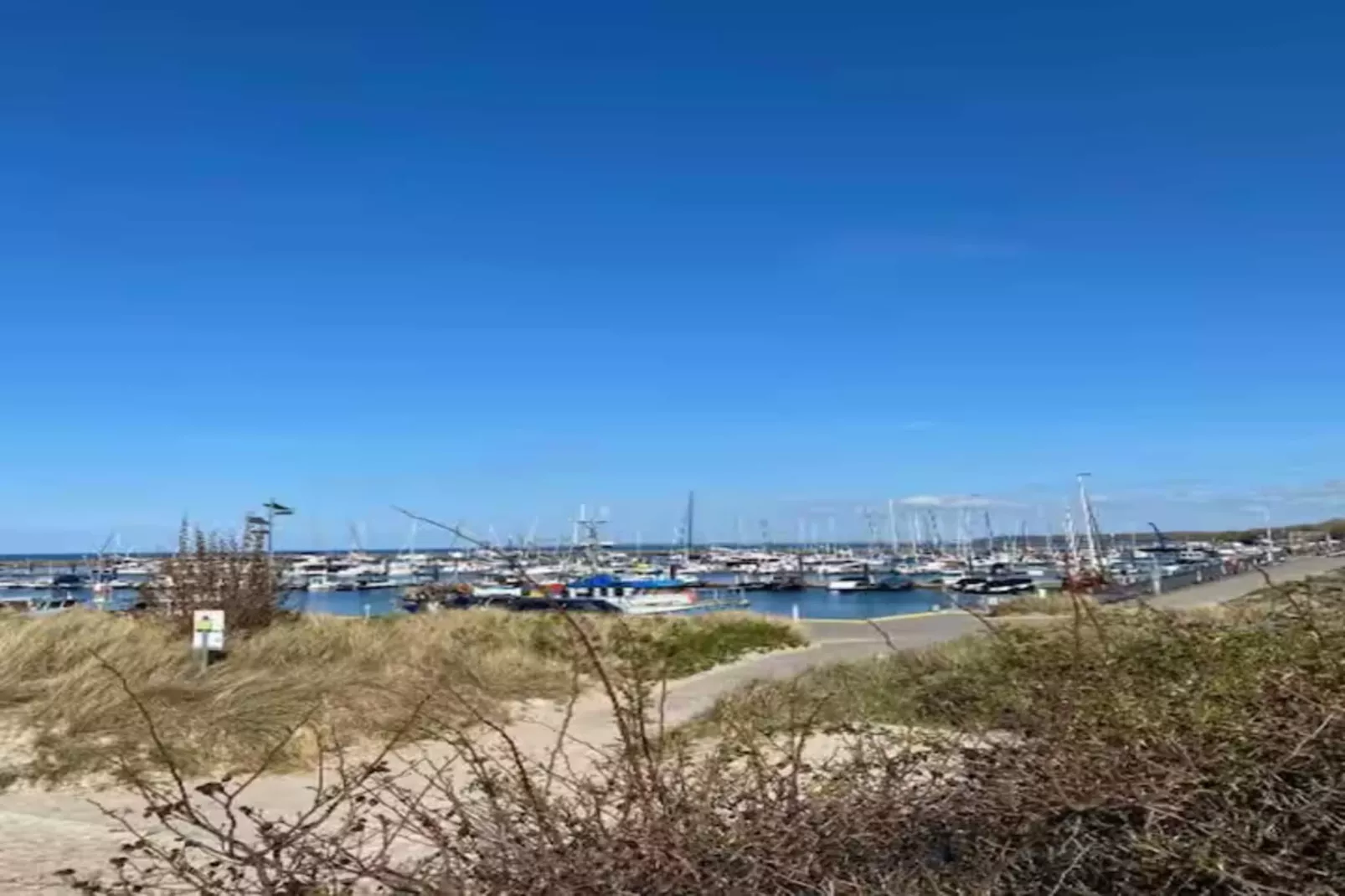 Ferienwohnung mit Koppelblick-Gebieden zomer 20km