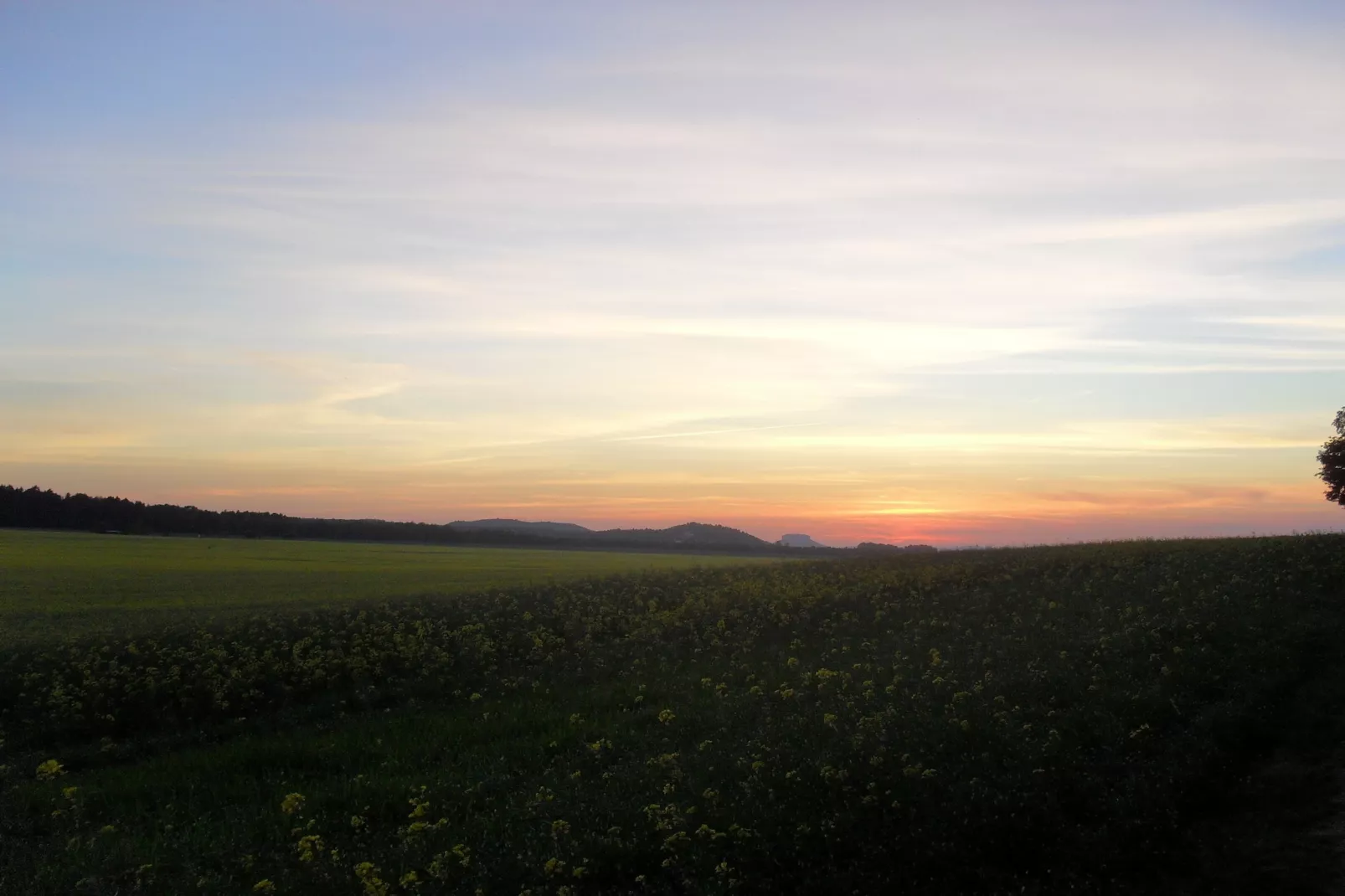 Sächsische Schweiz-Gebieden zomer 20km