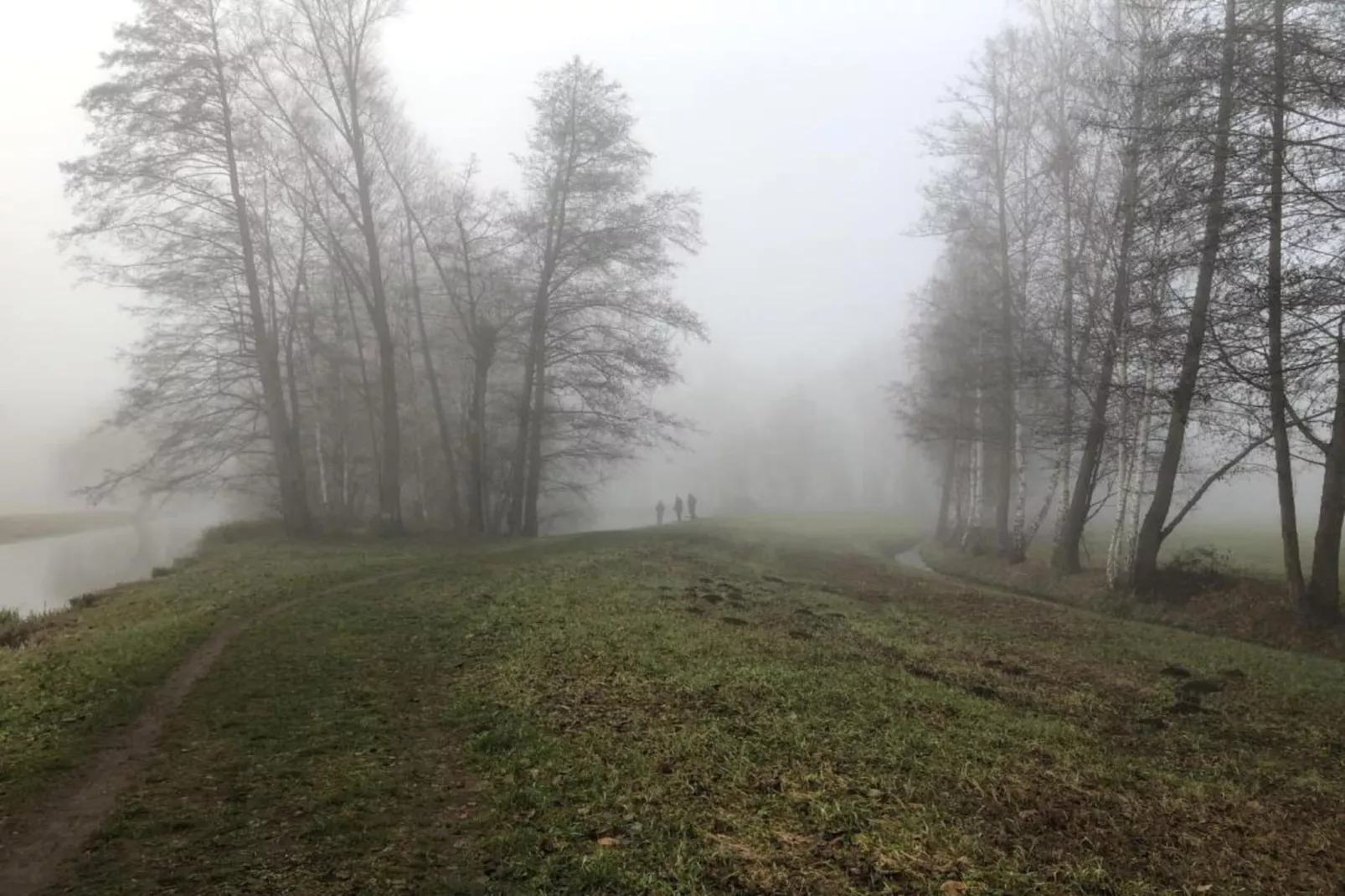 Waldblick-Gebieden zomer 5km