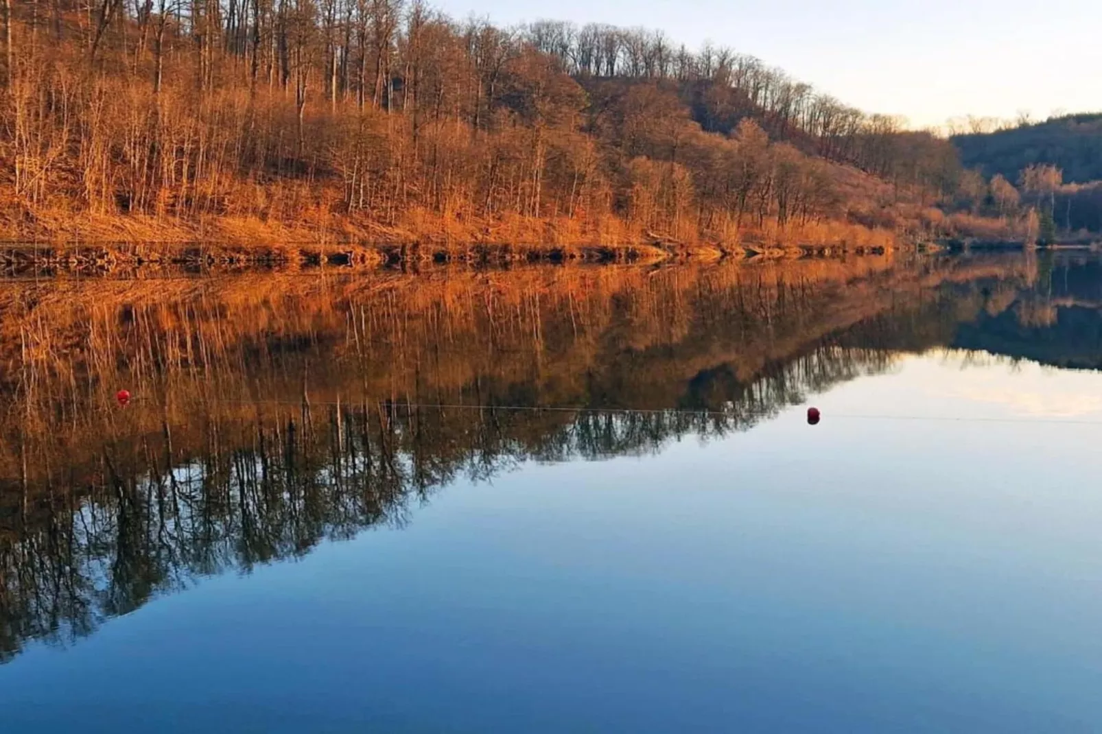 Friedrichshöhe-Gebieden zomer 5km