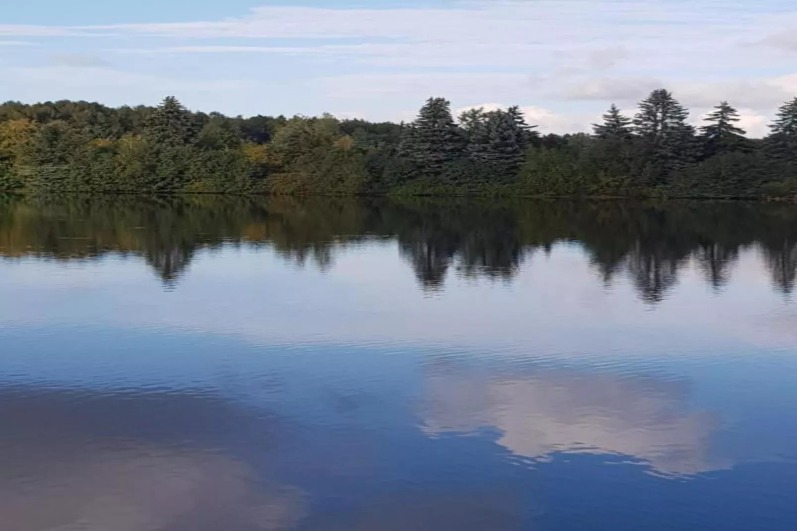 Im Erzgebirge-Gebieden zomer 20km