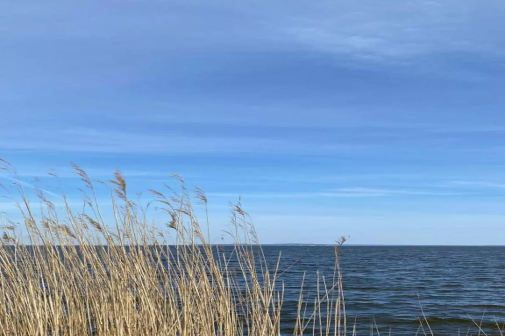 Ferienhaus Ahlbeck am Haff - Schlafen unter Reet / 2-Gebieden zomer 20km