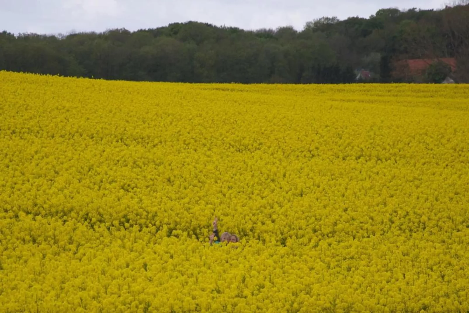 Hohenkirchen mit Garten Terrasse und Strandkorb-Gebieden zomer 20km