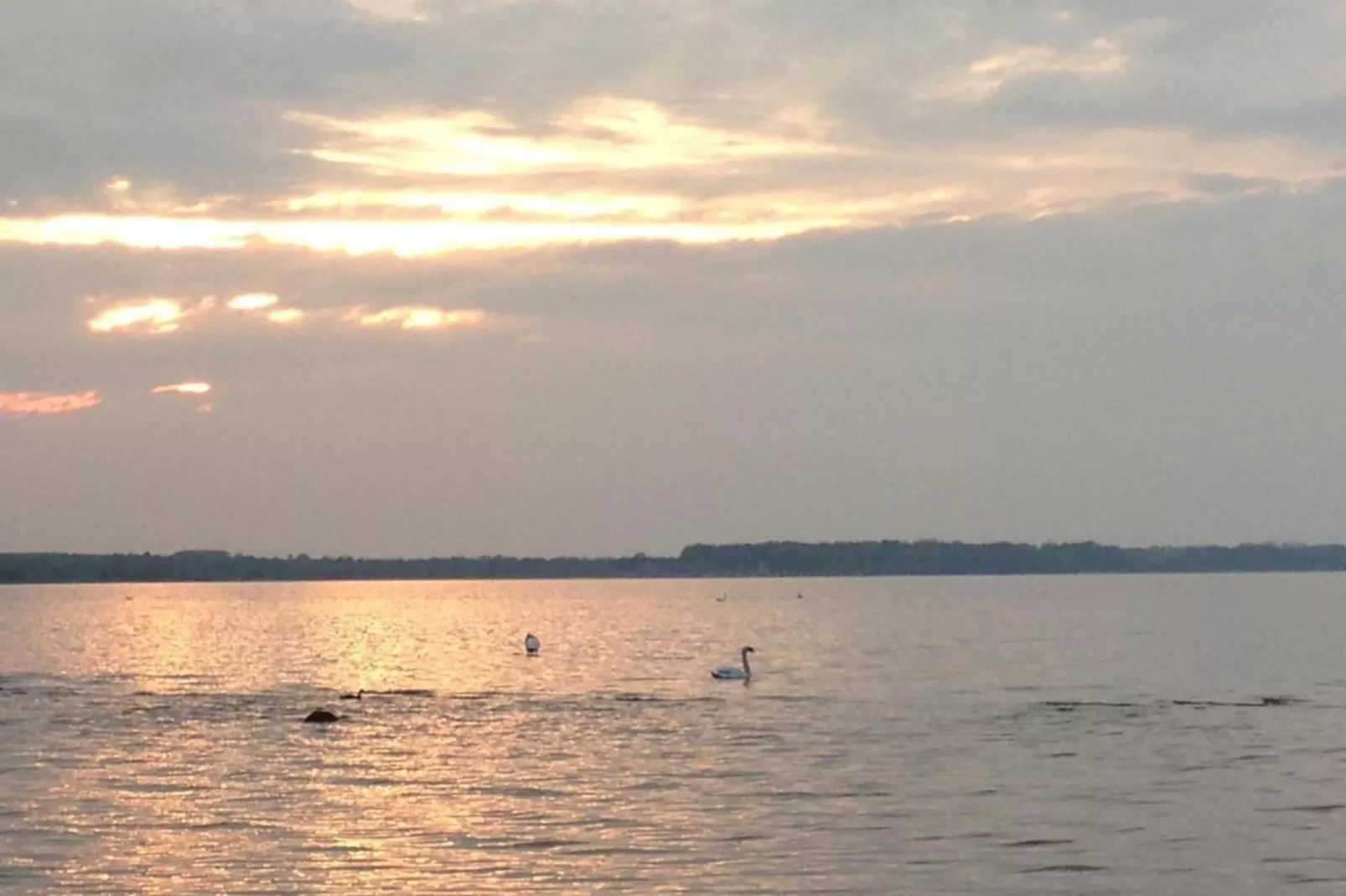 Urlaub vor den Toren der Hansestadt Wismar-Gebieden zomer 5km