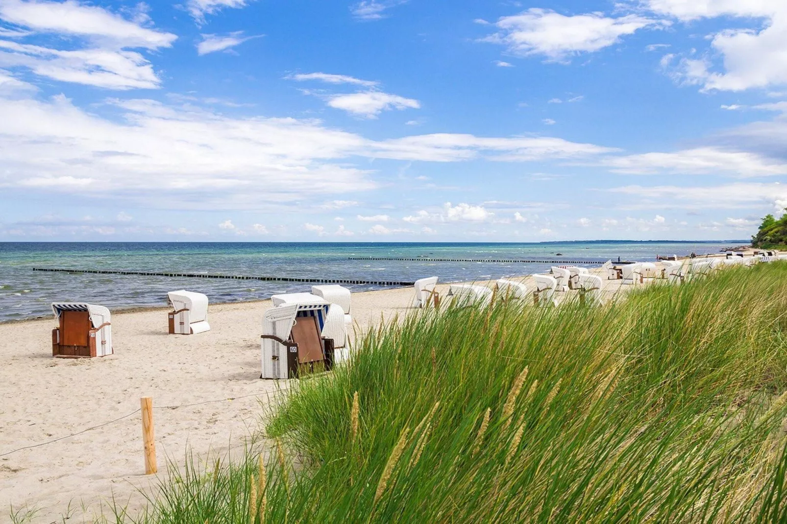 Bungalowanlage Gänseblümchen 6-Gebieden zomer 5km