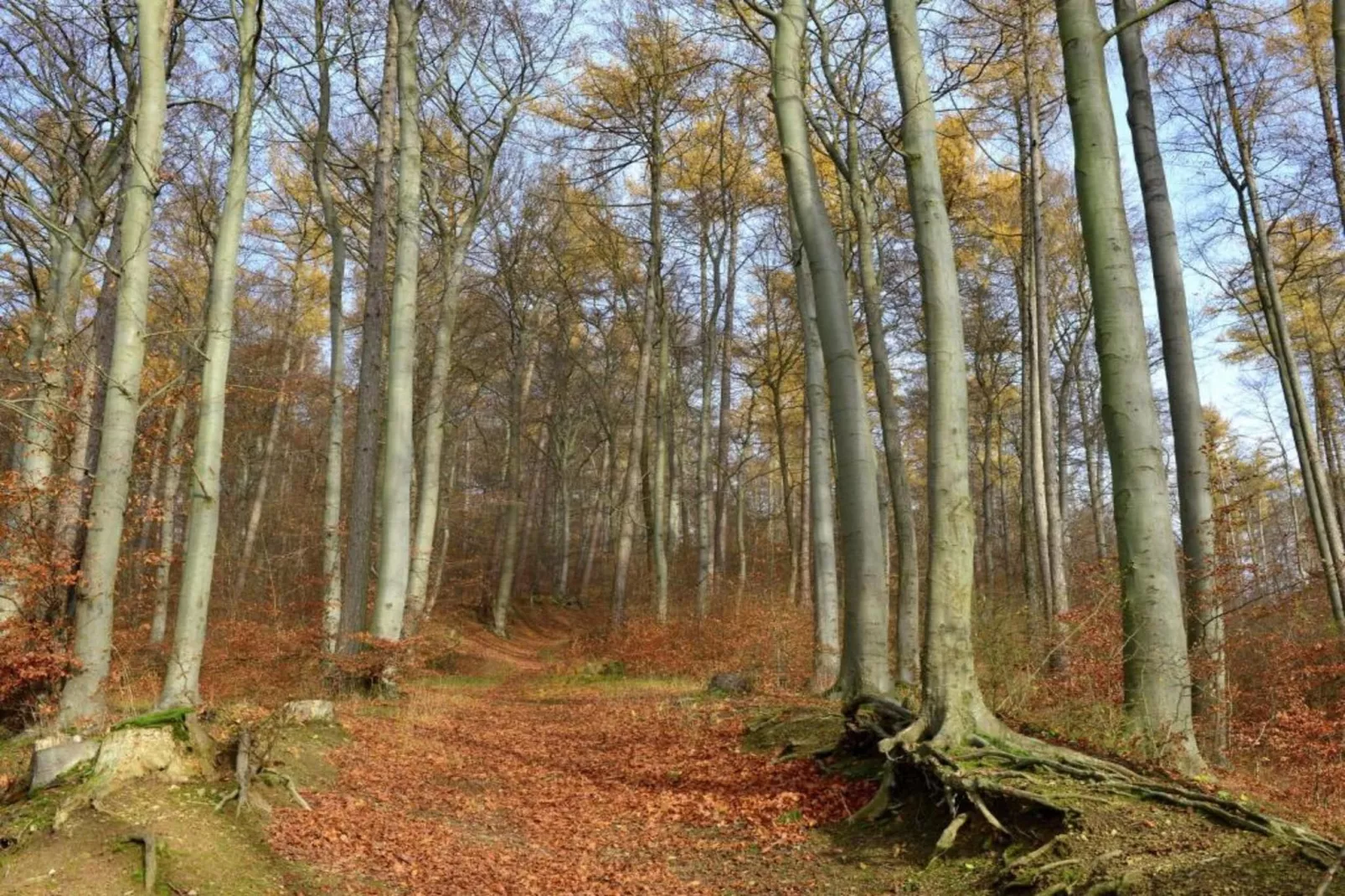 Weserbergland-Gebieden zomer 20km