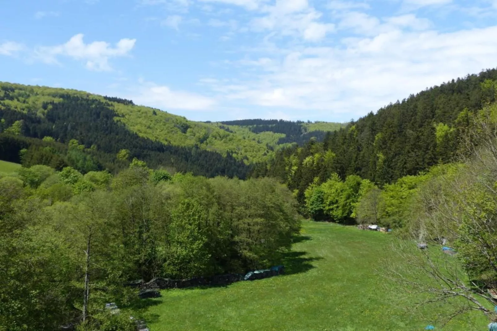 Appartement Willingen-Gebieden zomer 20km