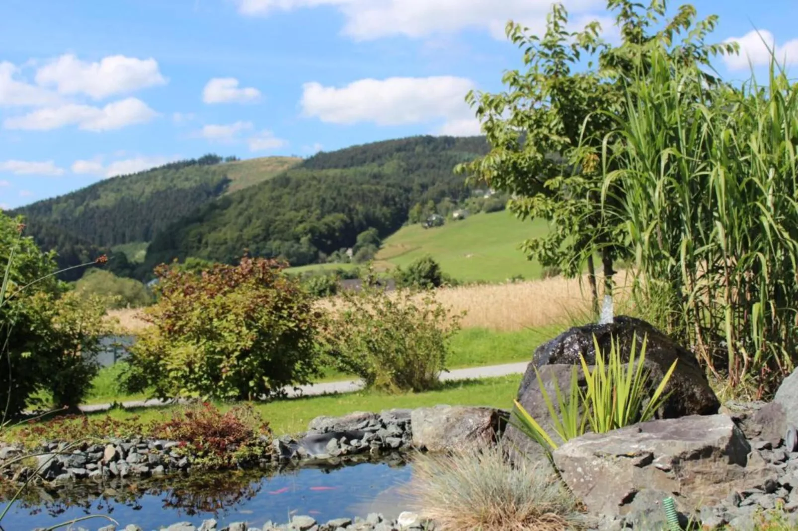 Willingen-Gebieden zomer 20km