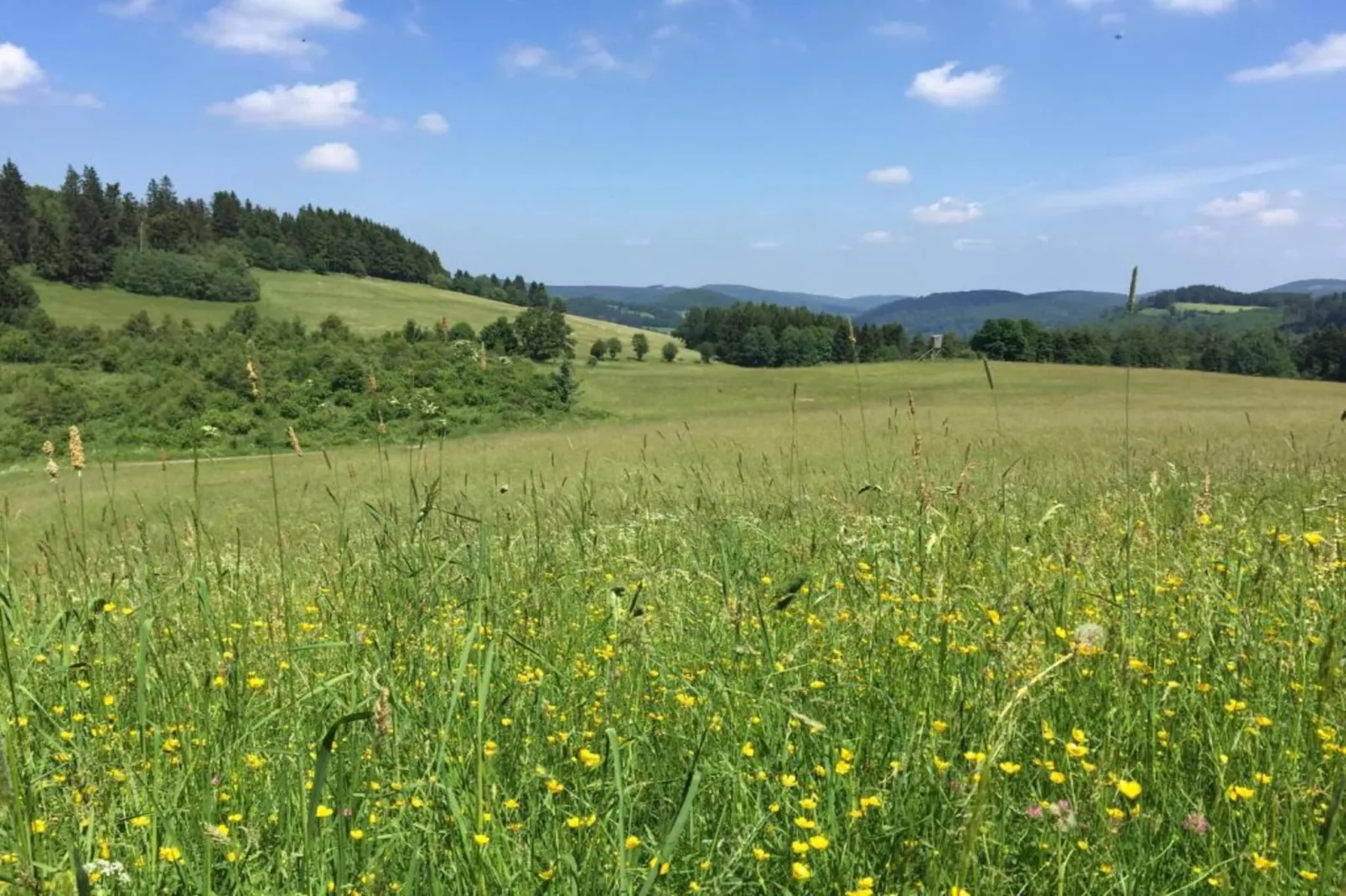 Sauerland - Diemelsee-Gebieden zomer 5km