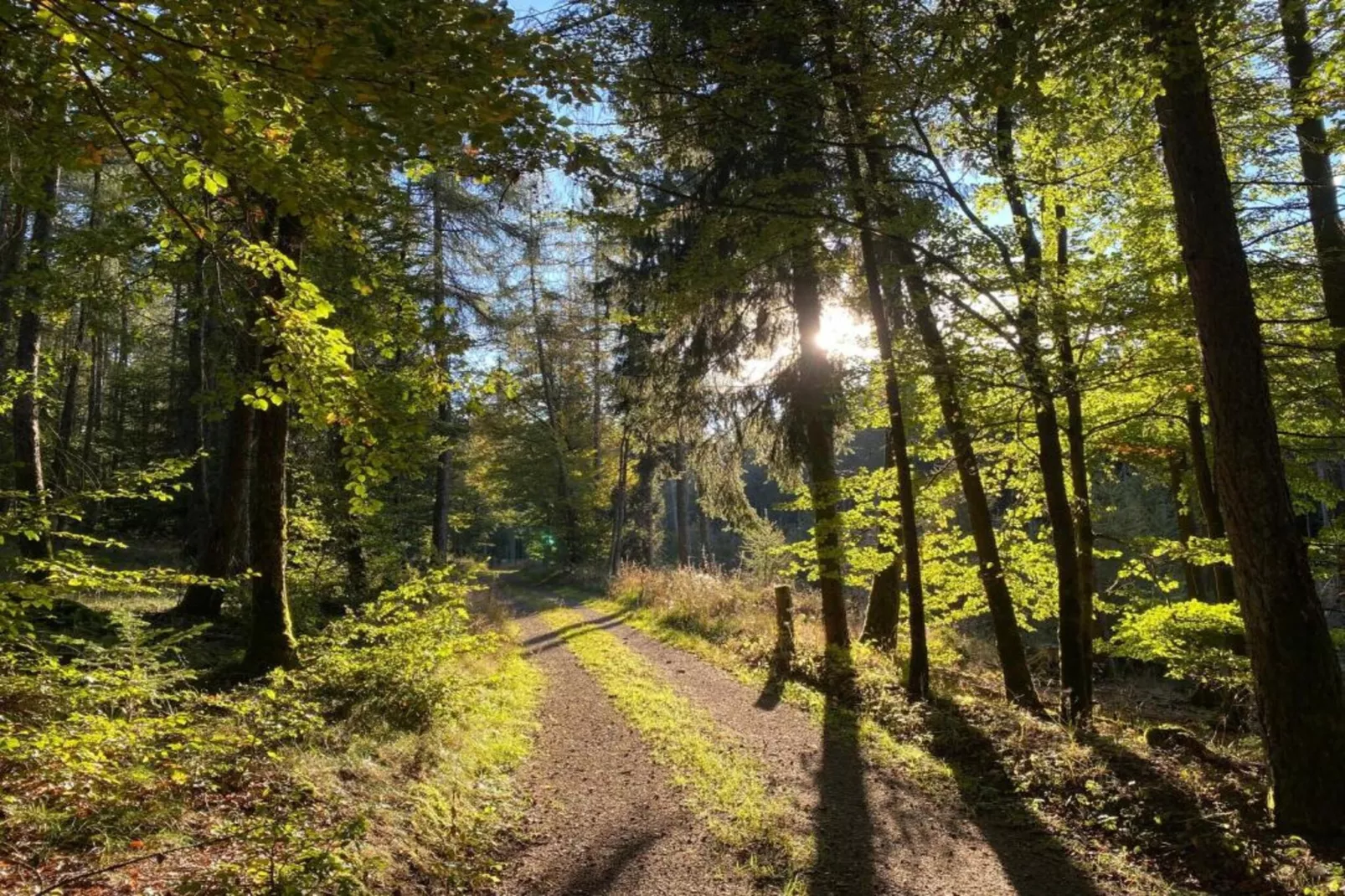 Sauerland - Diemelsee-Gebieden zomer 5km