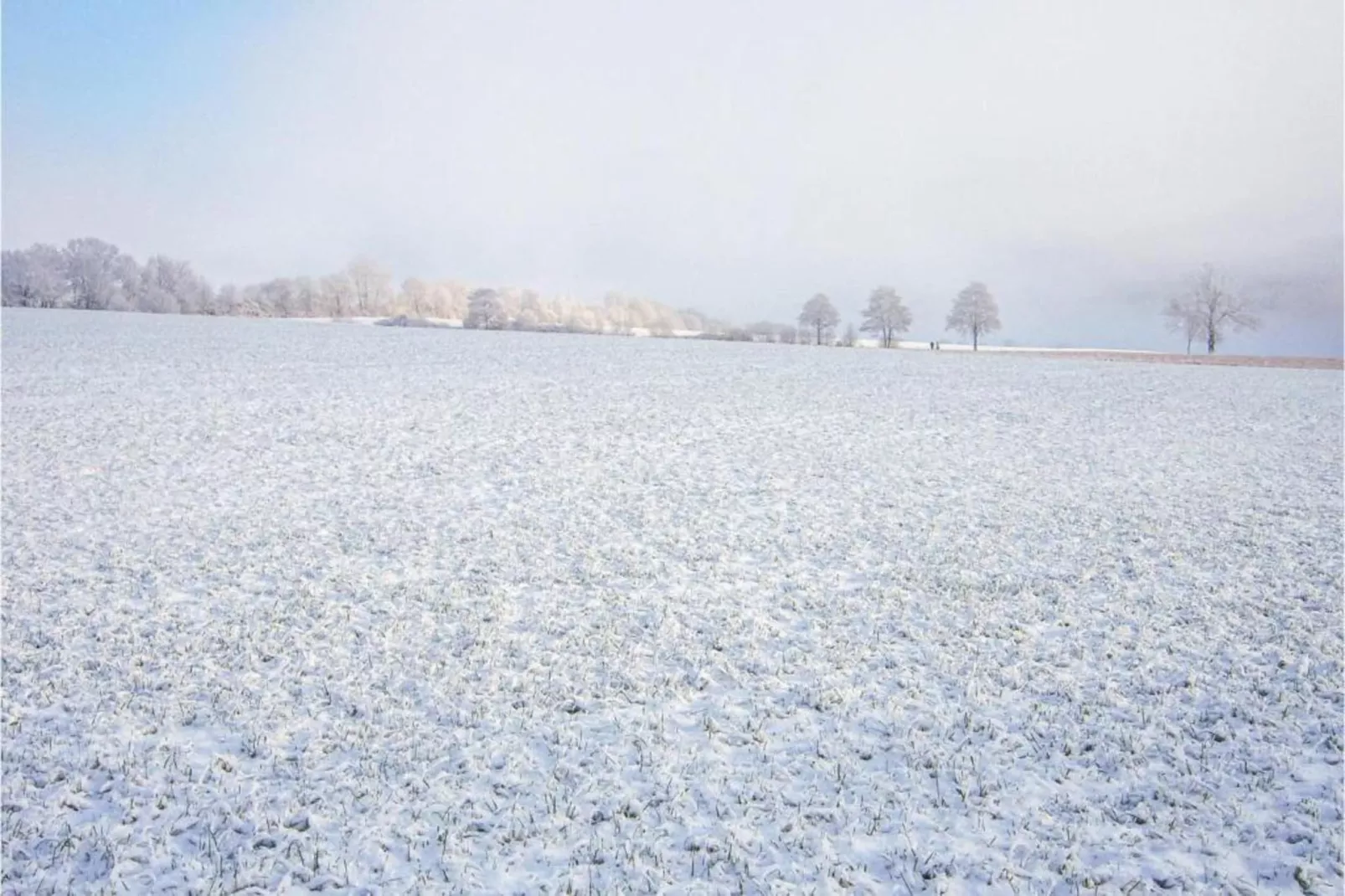 Densberg-Gebied winter 20km