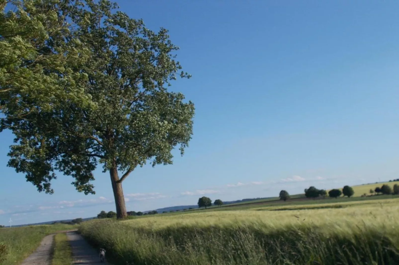 Feriendorf Uslar 2-Gebieden zomer 20km