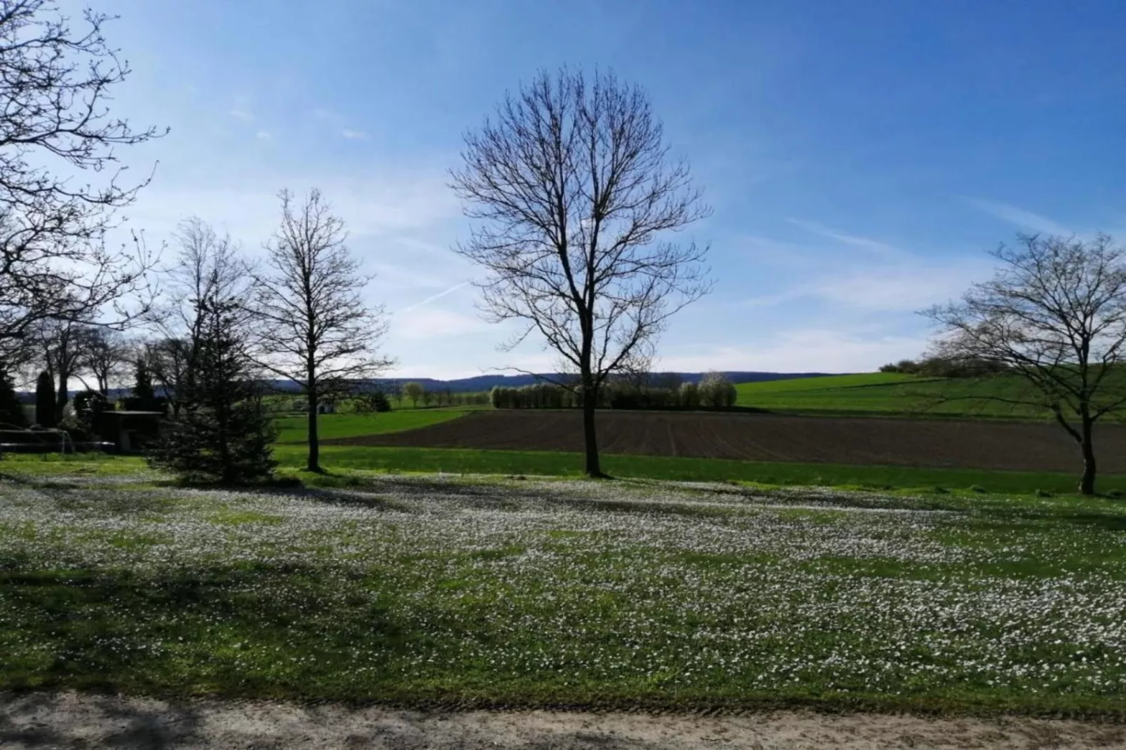 Katja-Gebieden zomer 20km