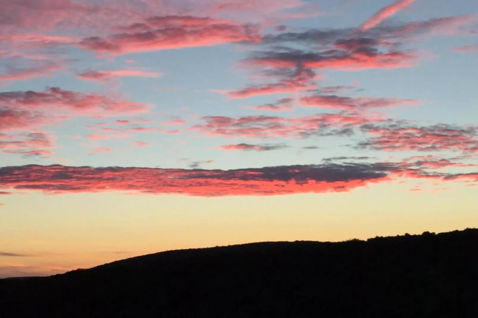Schwalbennest-Gebieden zomer 5km