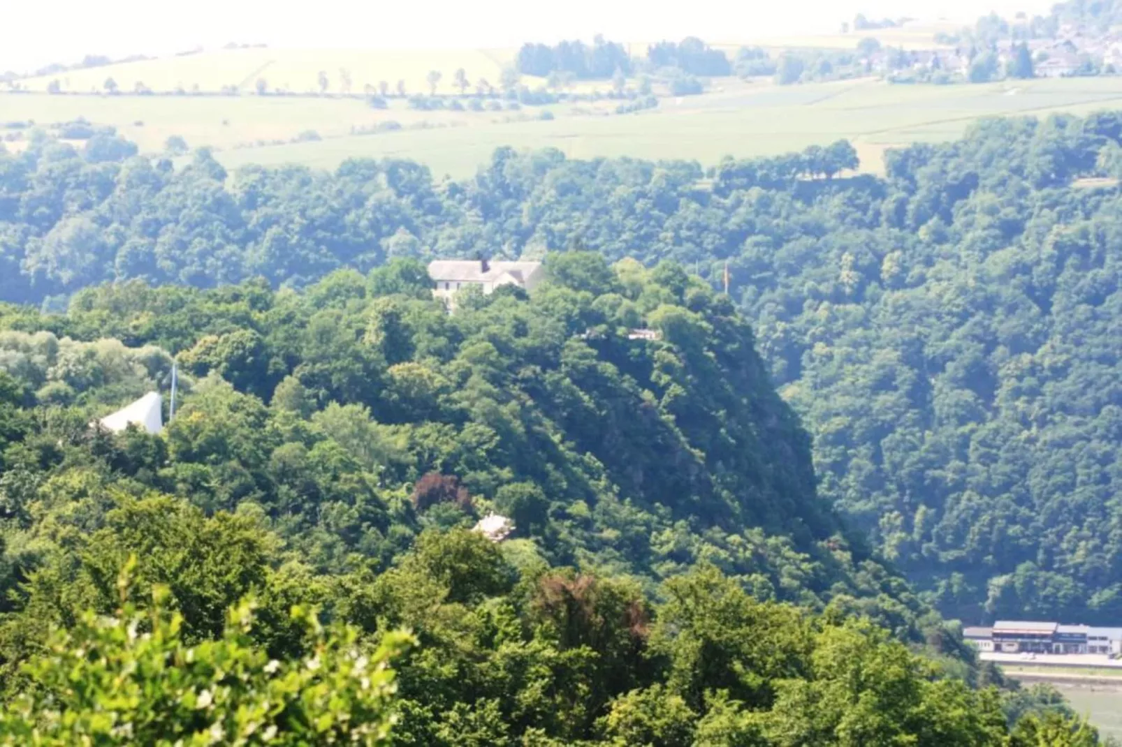 Ferienhaus und Bar St Goarshausen in der Loreley-Gebieden zomer 5km