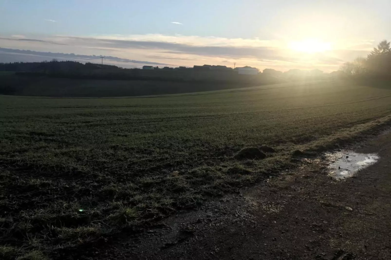 Mohr-Gebieden zomer 20km