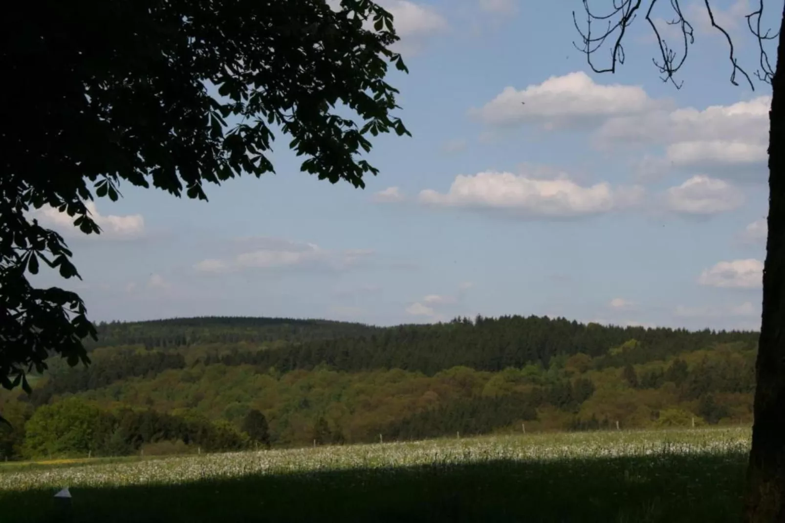 Dömer-Gebieden zomer 20km