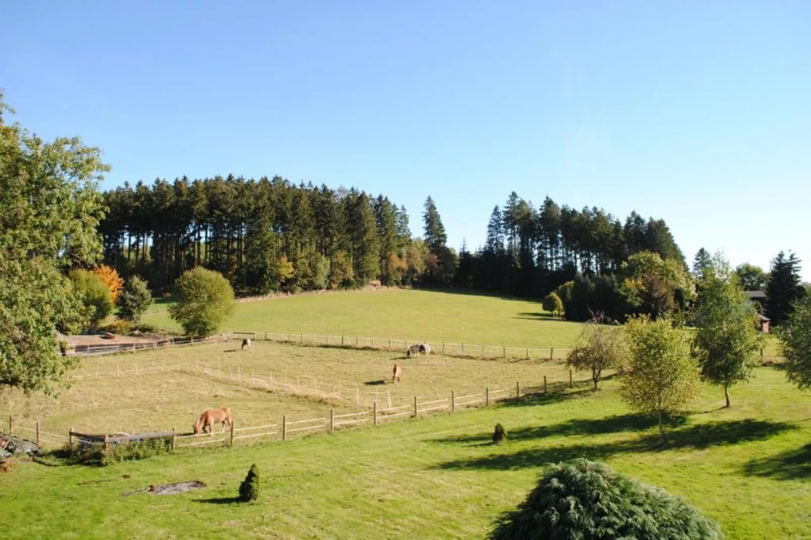 Sauerland-Gebieden zomer 5km