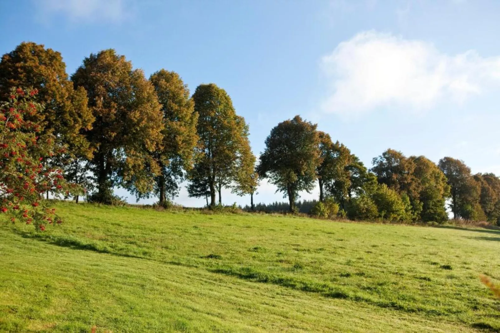 Winterberg-Gebieden zomer 5km