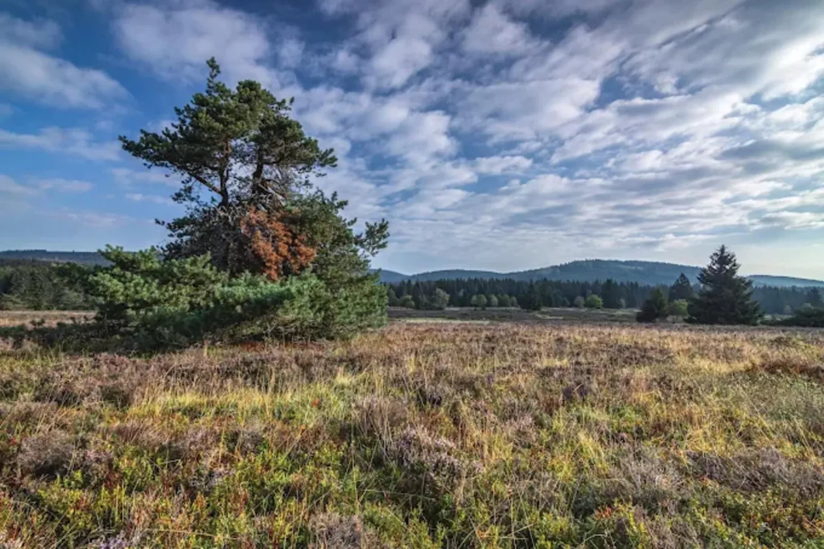 Buchenweg 13 - Kappenblick-Gebieden zomer 5km