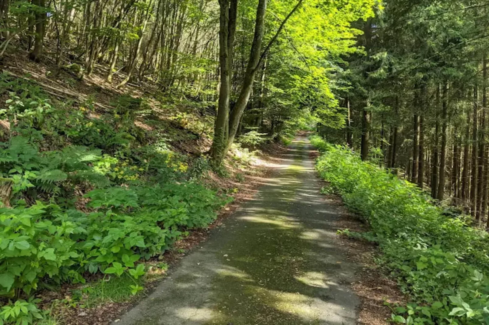 Neuastenberger Straße 4 - Neuastenberg-Gebieden zomer 1km