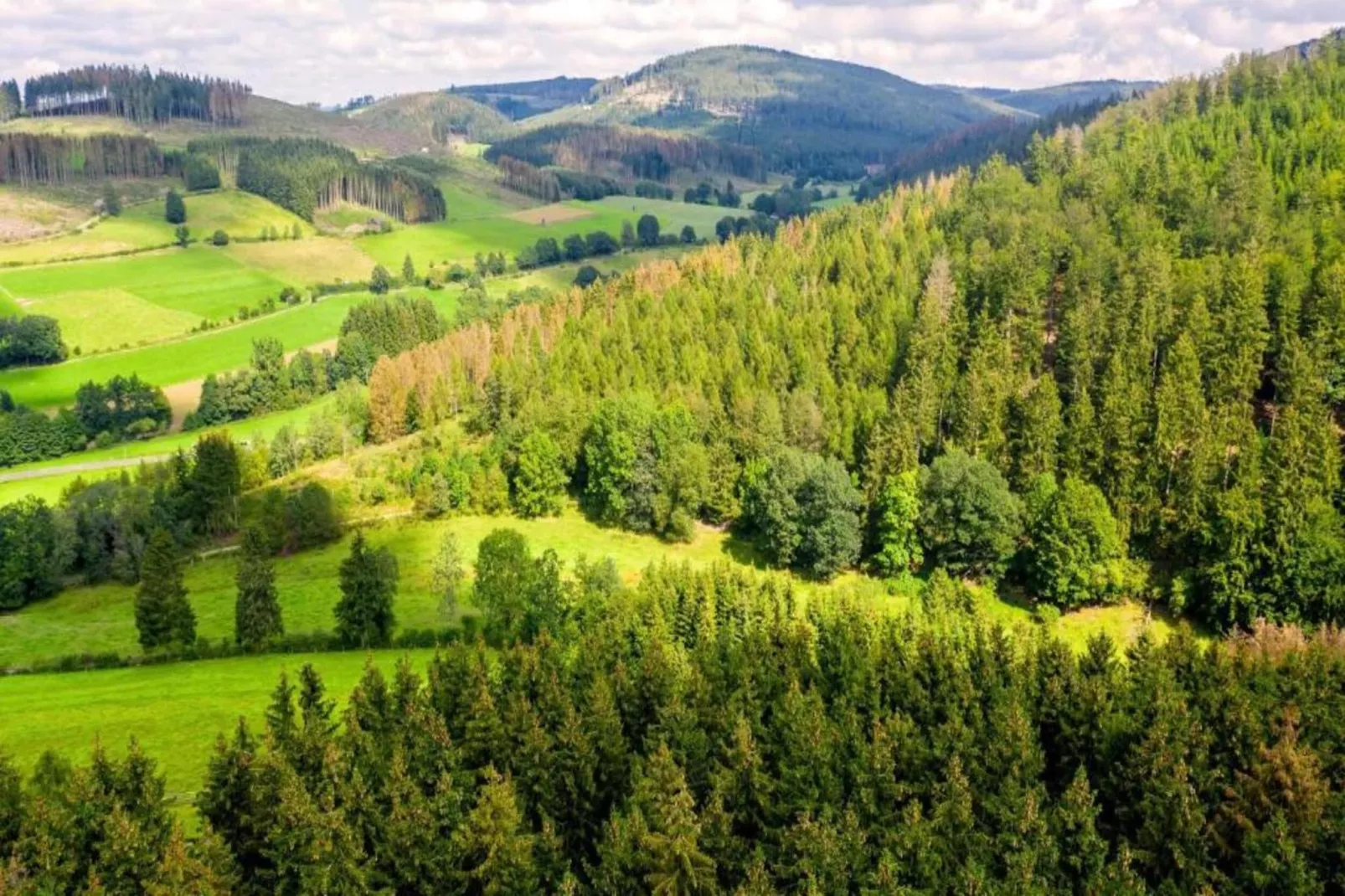 Gruppenhaus Hochsauerland-Gebieden zomer 5km