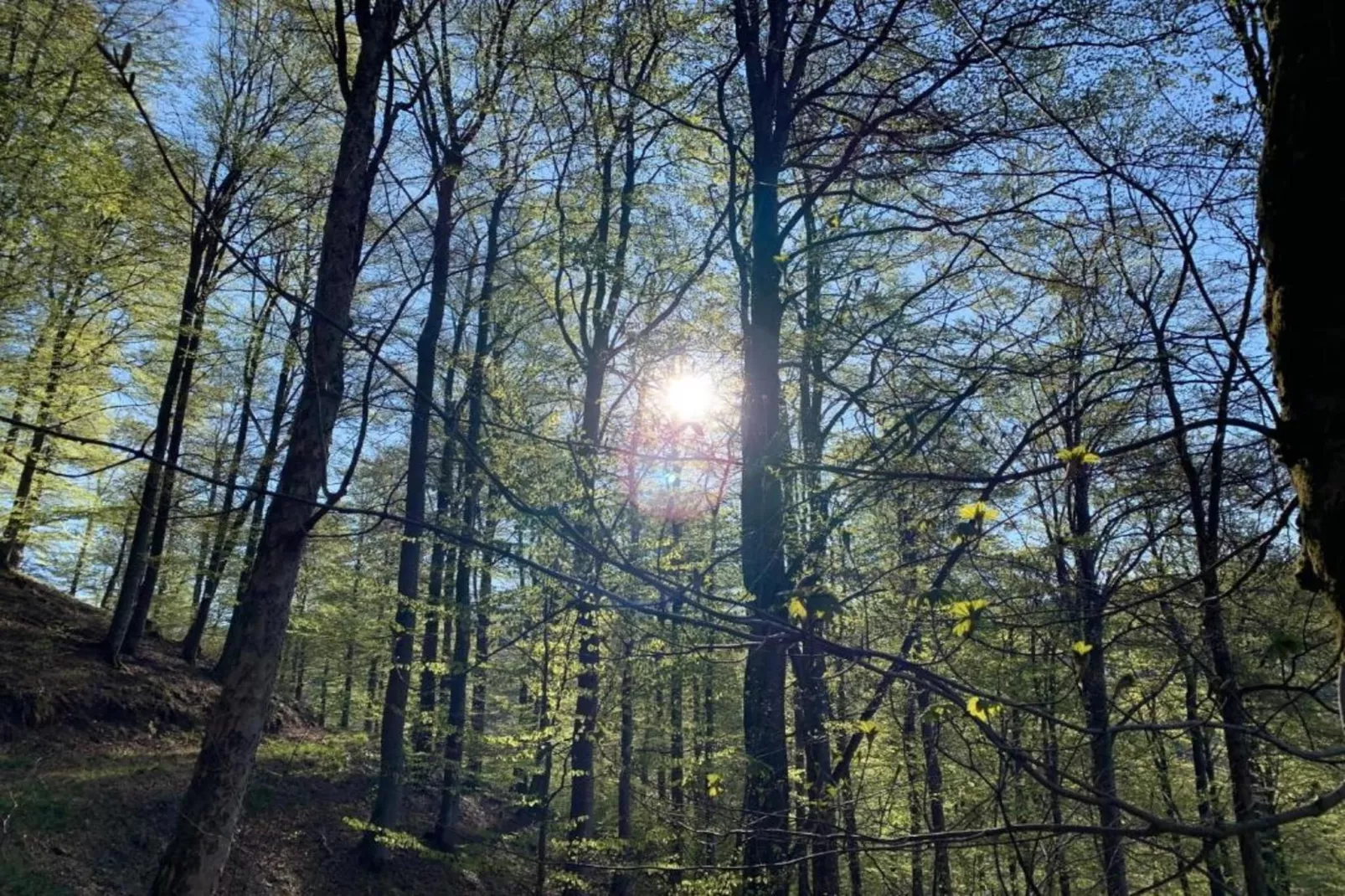 Küstelberg-Gebieden zomer 20km