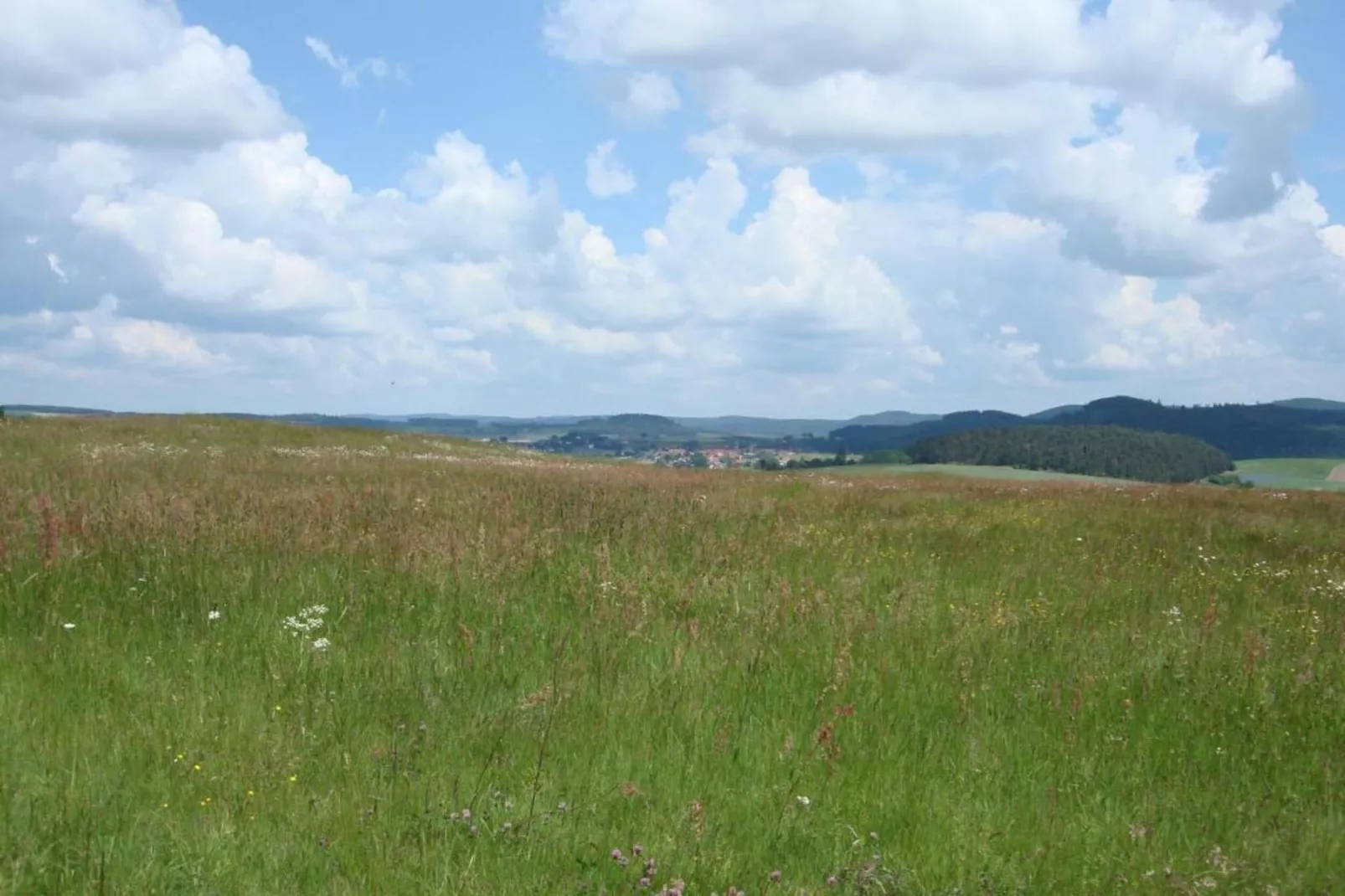 Köster-Gebieden zomer 20km