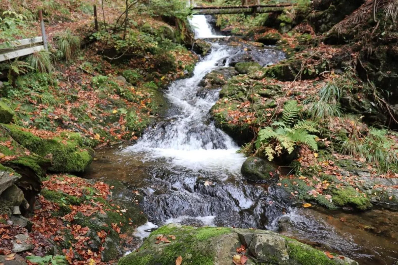 Schwarzwald-Gebieden zomer 5km