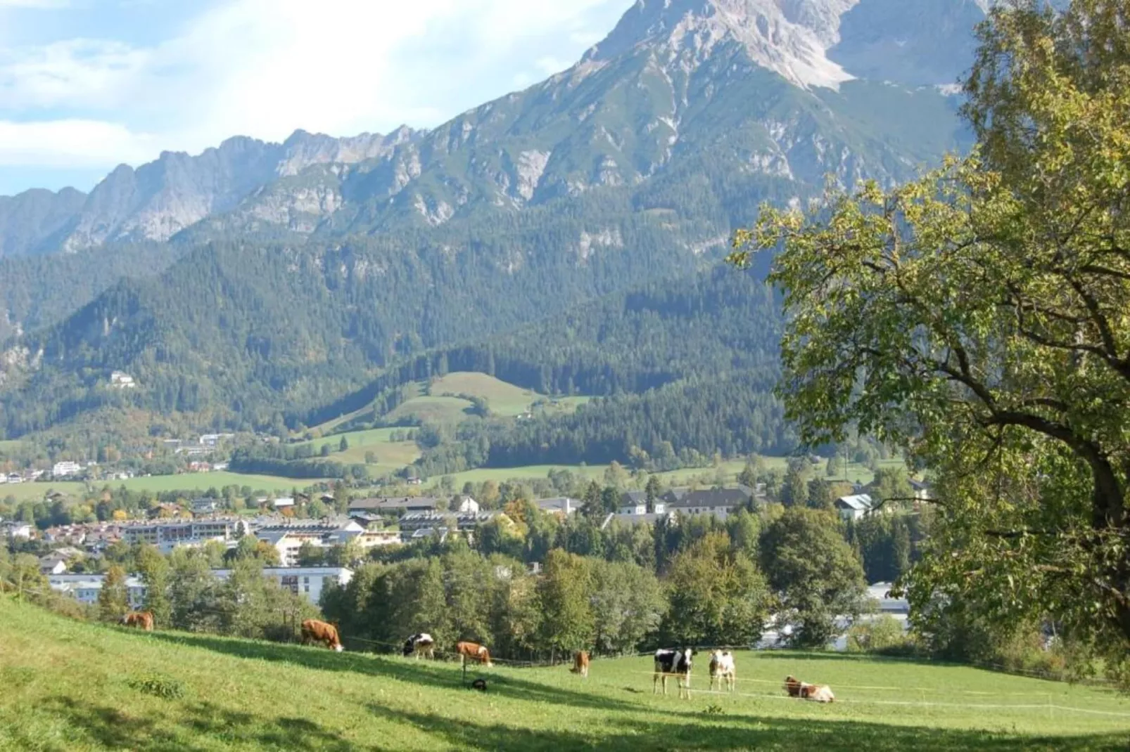 Altes Forsthaus-Gebieden zomer 20km