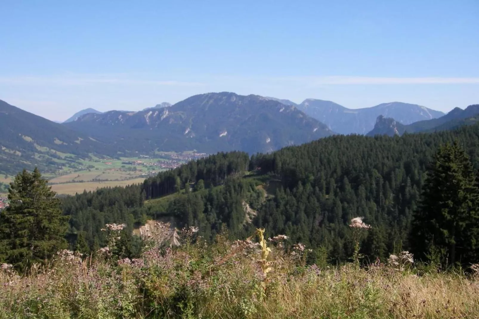 Sonnenblume-Gebieden zomer 20km