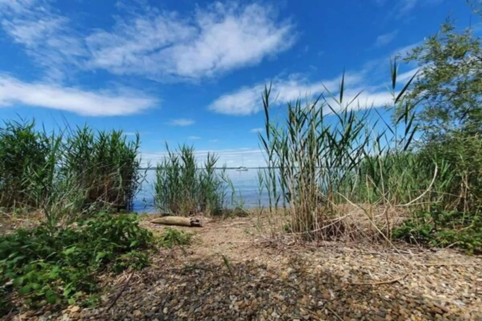 Bauernhaus-Gebieden zomer 5km
