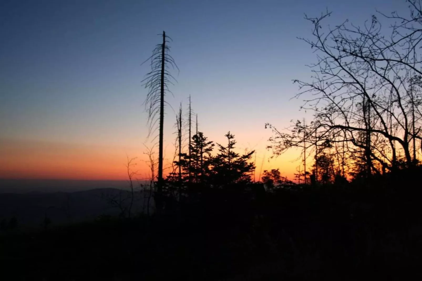 Im Bayerischen Wald-Gebieden zomer 20km