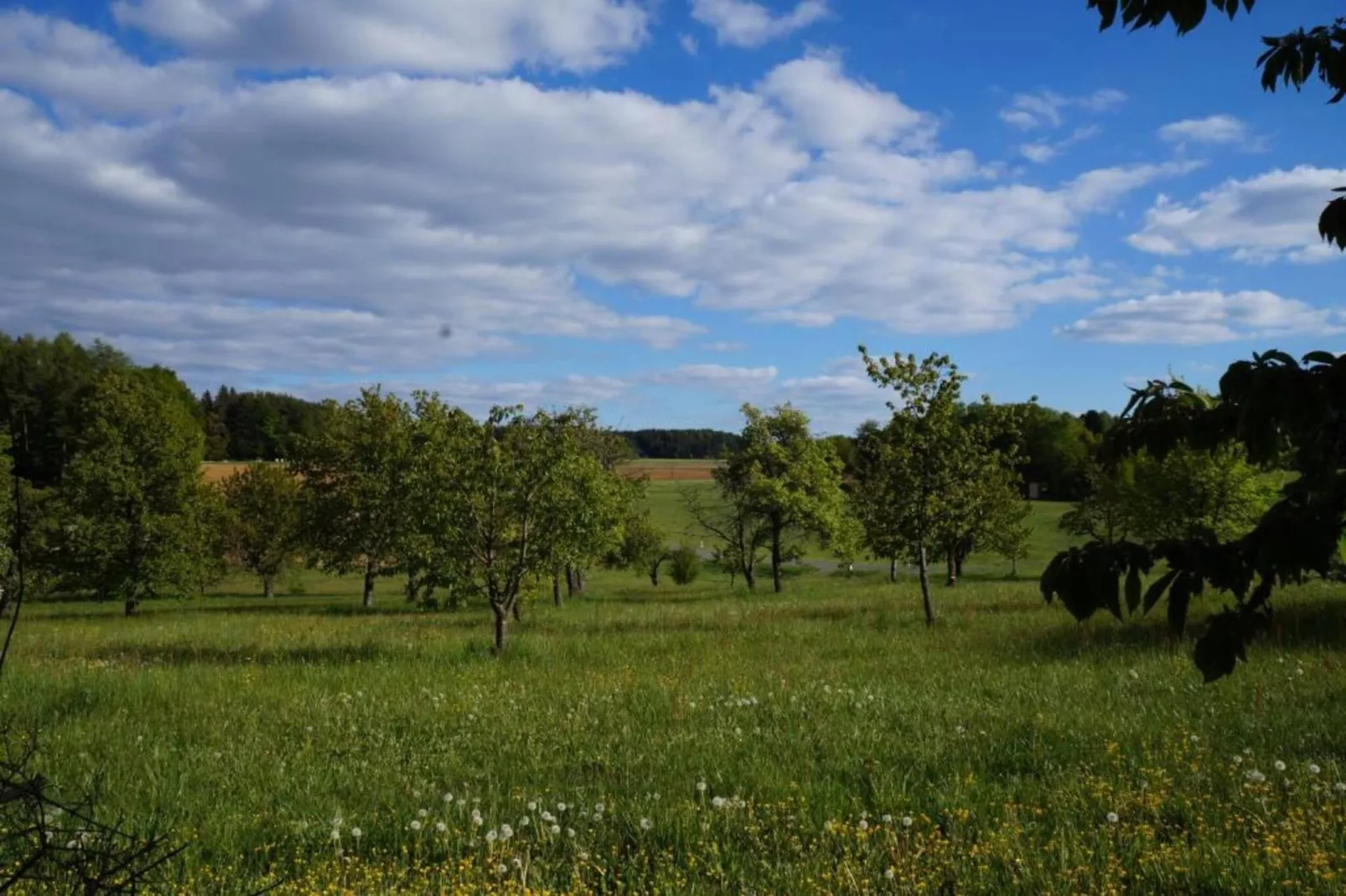 Bayerischer Wald-Gebieden zomer 20km