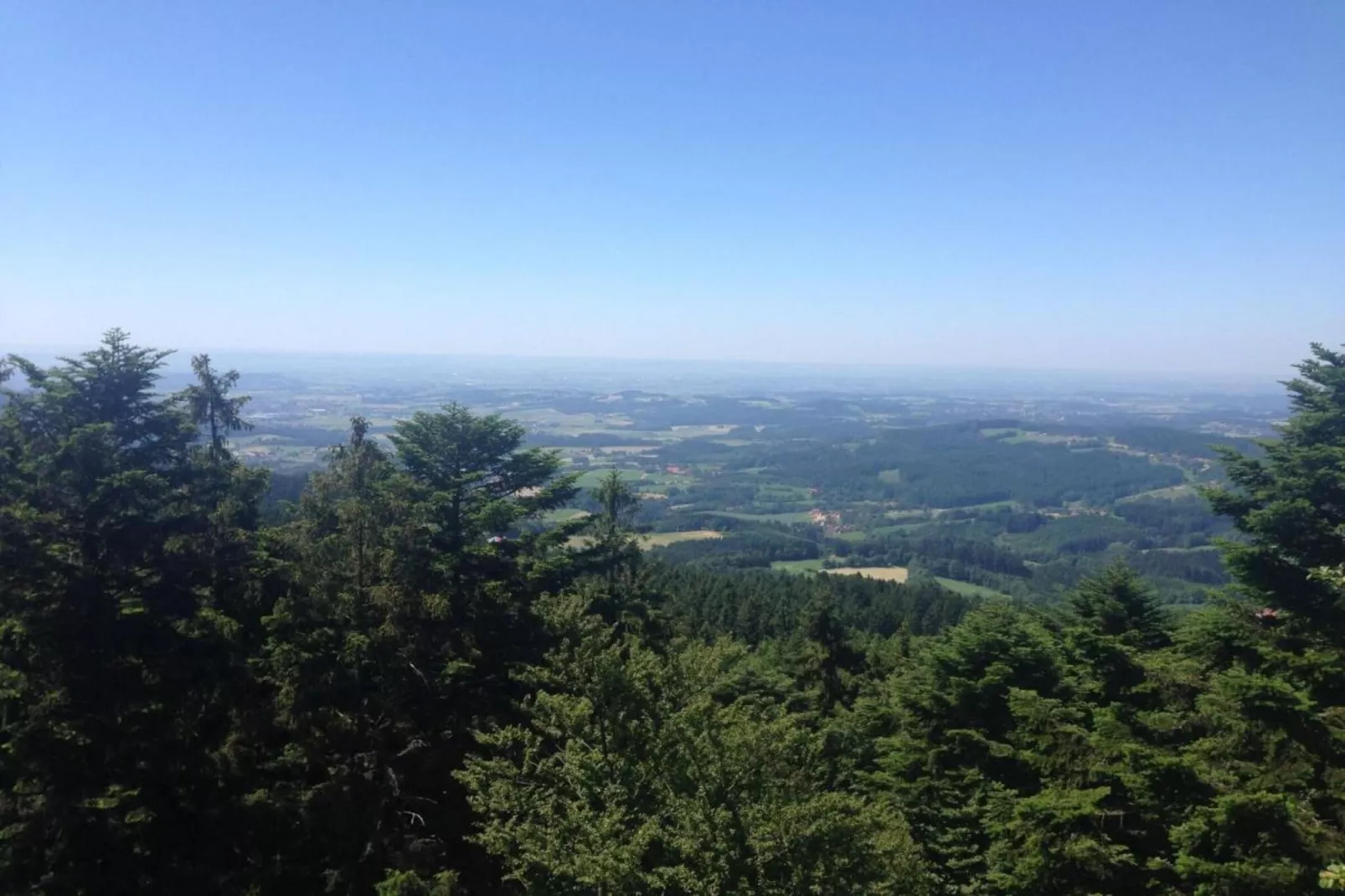 Finkenstube-Gebieden zomer 20km