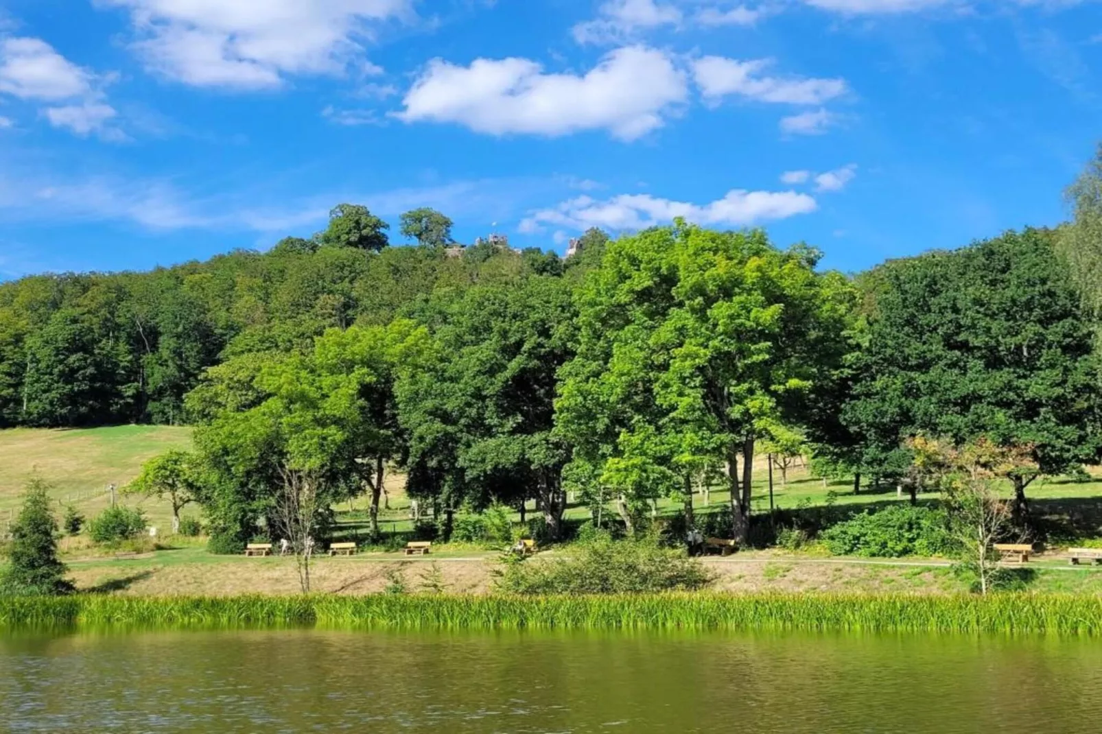 Neustadt 1-Gebieden zomer 5km