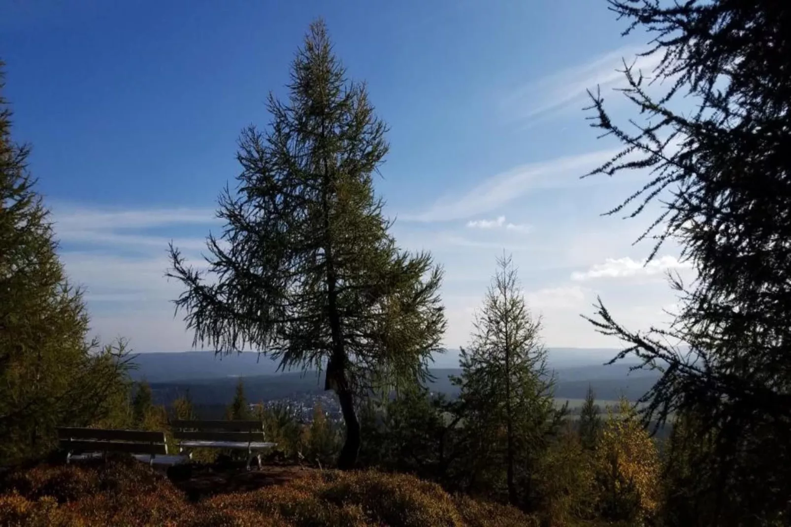 Ferienhaus im Thüringer Wald-Gebieden zomer 5km