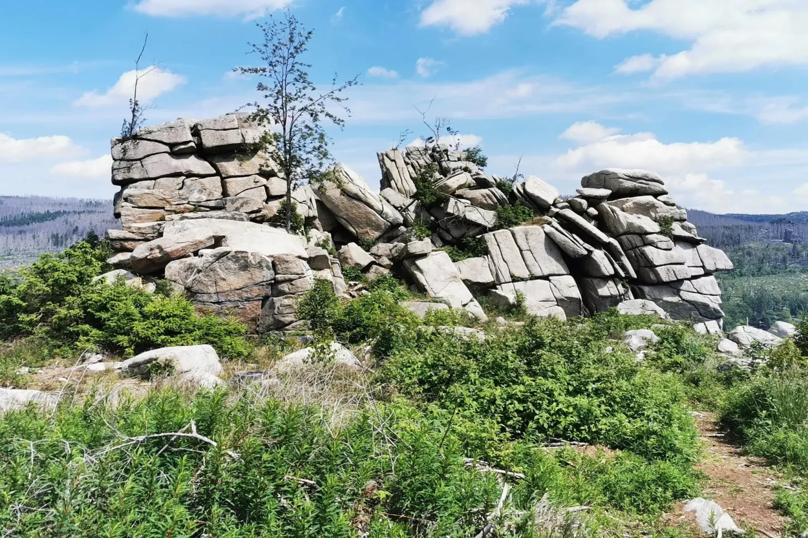 ExclusivLodge - 6 Pers-Gebieden zomer 5km