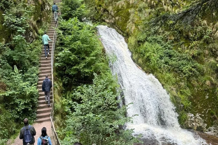 Ferienwohnung Läufer-Gebieden zomer 5km