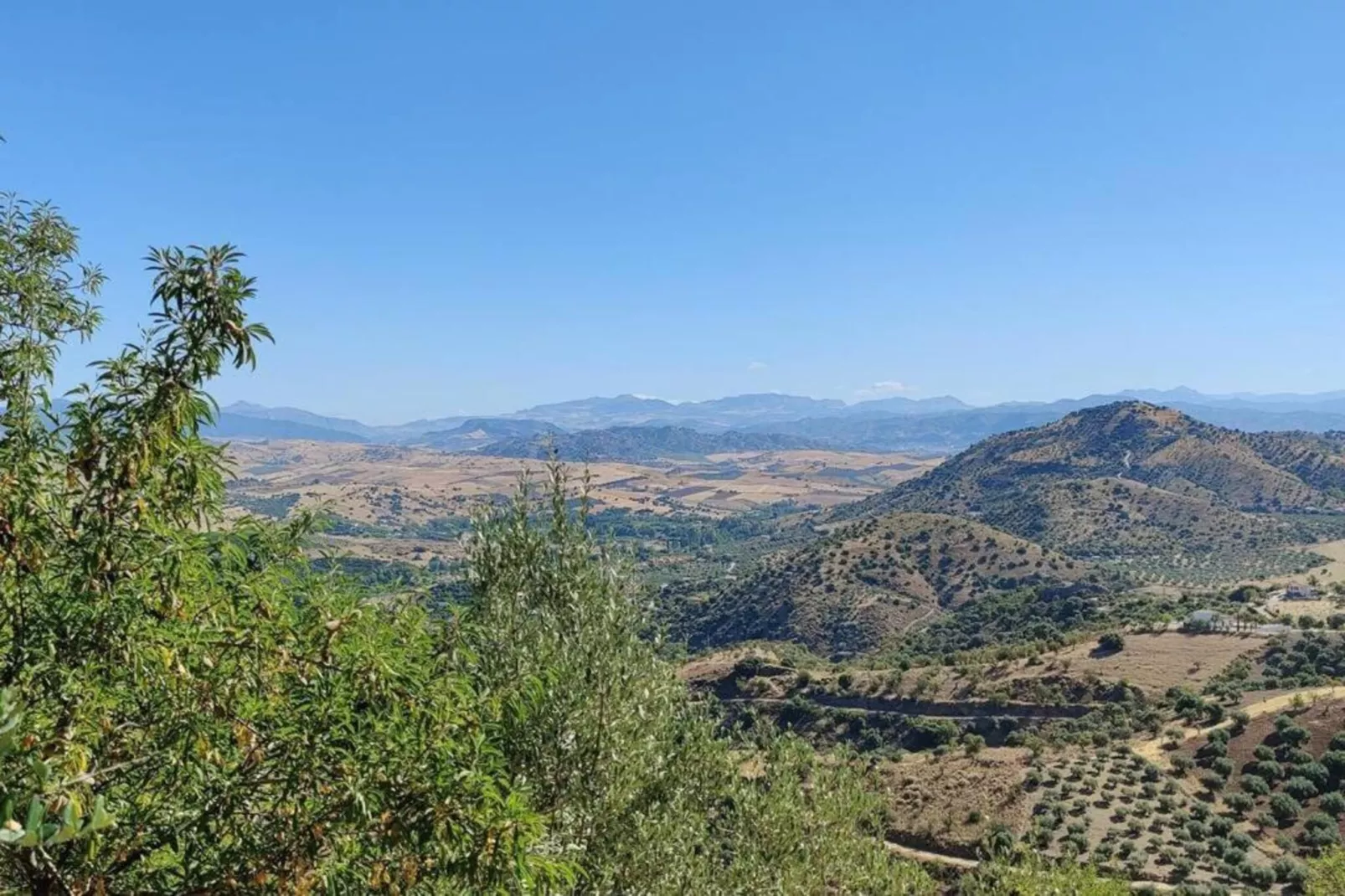 La Vista